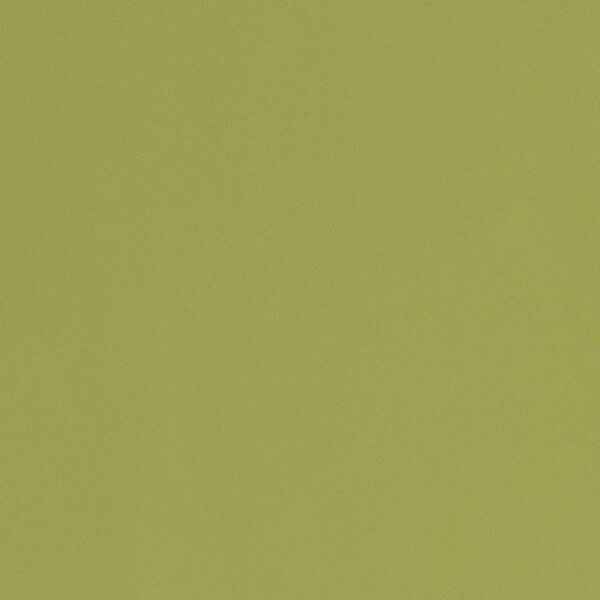 Mat Groen Interieur Plakfolie